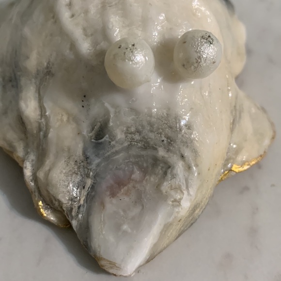 Shabby Chic Boho Shell Decor - Handmade Soy Wax Candle in a Seashell - Picture 13 of 15